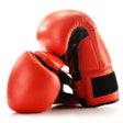 أيقونة البرنامج: Boxing Guide - How To Lea…