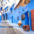 Ícone do programa: Street Views PREMIUM