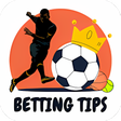プログラムのアイコン：Betting Tips