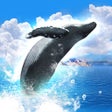 Programikonen: REAL WHALES  Find the cet…