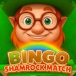 أيقونة البرنامج: Shamrock Match Bingo
