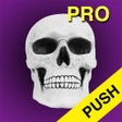 Programikonen: Halloween Countdown Pro P…