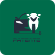 Programikonen: WEBpatente B | 2020