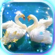 程序图标：Swans Nobles LWP