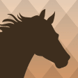 Equus Note - The Horse Journal