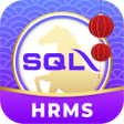 Programın simgesi: SQL HRMS 2