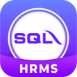 Programın simgesi: SQL HRMS 2