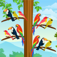 Ícone do programa: Bird Color:Sort Puzzle Ga…
