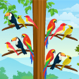 Icon of program: Bird Color:Sort Puzzle Ga…