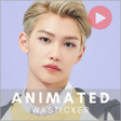 程序图标：Felix SKZ Animated WAStic…