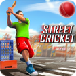 プログラムのアイコン：Street Cricket Championsh…