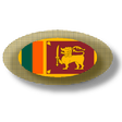 Programikonen: Sri Lankan apps and games