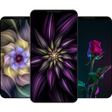 Programikonen: Wallpapers - Flowers