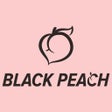 프로그램 아이콘: 블랙피치