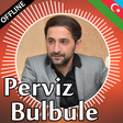 プログラムのアイコン：Perviz Bulbule