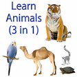 Learn Animal names 3 in 1