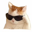 Symbol des Programms: Cat Stickers for WhatsApp