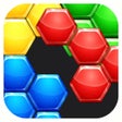 Programikonen: Hexa -Block Puzzle Game-