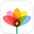 Symbol des Programms: Web Albums