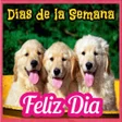 程序图标：Feliz Día - Saludos Diari…
