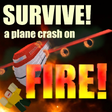Icon of program: Survive a plane crash on …