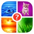 Icon of program: Find the Word Top Puzzle…