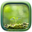 Programikonen: Plants Image Puzzle