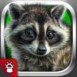 Иконка программы: Animals words for kids Rh…