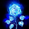 Ikon program: Rose Flower Wallpaper HD