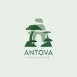 Programikonen: Antova
