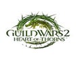 程序图标:Guild Wars 2: Heart of Th…