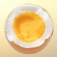Ikon program: The perfect Egg timer