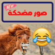 程序图标：funny pictures