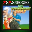 程序图标：ACA NEOGEO NEO TURF MASTE…