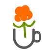 Programikonen: Кофейня Морошка