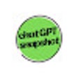 Programikonen: chatGPT snapshot