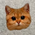 أيقونة البرنامج: Meow - Cat Sounds