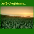 程序图标:Self Confidence and Heali…