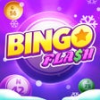 Programikonen: Bingo Flash: Win Real Cas…
