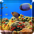 Icon of program: Ocean Fish Live Wallpaper…
