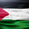 Programikonen: Palestine Flag Live Wallp…
