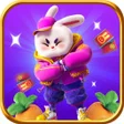 Icoon van programma: Financial Rabbitll 4.0