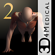 程序图标:iMuscle 2
