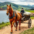 Programikonen: Horse Cart Riding-Horse G…