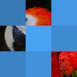 Ícone do programa: Bloxels - Guess The Pic
