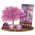 Programikonen: Pink Sakura Lakeview Laun…