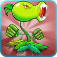 プログラムのアイコン：Special Angry Plants