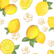 Programikonen: -Citrus- Theme HOME