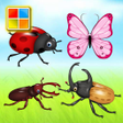 Programikonen: Insects Cards (Learn Lang…