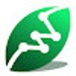 Olive Wallet icon